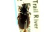  ( - CNC COLEO 00118633)  @12 [ ] CreativeCommons - Attribution (2011) CNC/CBG Photography Group Centre for Biodiversity Genomics