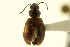  ( - CNC COLEO 00119103)  @13 [ ] CreativeCommons - Attribution (2011) CNC/CBG Photography Group Centre for Biodiversity Genomics