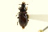  ( - CNC COLEO 00119148)  @11 [ ] CreativeCommons - Attribution (2011) CNC/CBG Photography Group Centre for Biodiversity Genomics
