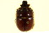  ( - CNC COLEO 00119692)  @11 [ ] CreativeCommons - Attribution (2011) CNC/CBG Photography Group Centre for Biodiversity Genomics