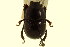  ( - CNC COLEO 00119760)  @11 [ ] CreativeCommons - Attribution (2011) CNC/CBG Photography Group Centre for Biodiversity Genomics
