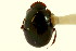  ( - CNC COLEO 00119830)  @11 [ ] CreativeCommons - Attribution (2011) CNC/CBG Photography Group Centre for Biodiversity Genomics
