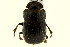  ( - CNC COLEO 00119900)  @11 [ ] CreativeCommons - Attribution (2011) CNC/CBG Photography Group Centre for Biodiversity Genomics