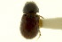  ( - CNC COLEO 00120021)  @11 [ ] CreativeCommons - Attribution (2011) CNC/CBG Photography Group Centre for Biodiversity Genomics
