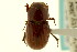 ( - CNC COLEO 00120051)  @11 [ ] CreativeCommons - Attribution (2011) CNC/CBG Photography Group Centre for Biodiversity Genomics