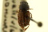  ( - CNC COLEO 00120112)  @13 [ ] CreativeCommons - Attribution (2011) CNC/CBG Photography Group Centre for Biodiversity Genomics