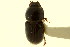  ( - CNC COLEO 00120141)  @12 [ ] CreativeCommons - Attribution (2011) CNC/CBG Photography Group Centre for Biodiversity Genomics
