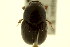  ( - CNC COLEO 00120166)  @11 [ ] CreativeCommons - Attribution (2011) CNC/CBG Photography Group Centre for Biodiversity Genomics