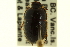  ( - CNCI 00023026)  @13 [ ] CreativeCommons - Attribution (2011) CNC/CBG Photography Group Centre for Biodiversity Genomics