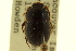  ( - CNCI 00024764)  @13 [ ] CreativeCommons - Attribution (2011) CNC/CBG Photography Group Centre for Biodiversity Genomics