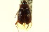  ( - CNC COLEO 00124538)  @12 [ ] CreativeCommons - Attribution (2011) CNC/CBG Photography Group Centre for Biodiversity Genomics