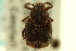  ( - CNC COLEO 00124781)  @11 [ ] CreativeCommons - Attribution (2011) CNC/CBG Photography Group Centre for Biodiversity Genomics