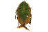  ( - CNC COLEO 00124795)  @11 [ ] CreativeCommons - Attribution (2011) CNC/CBG Photography Group Centre for Biodiversity Genomics