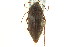  ( - CNCI 00031327)  @13 [ ] CreativeCommons - Attribution (2011) CNC/CBG Photography Group Centre for Biodiversity Genomics