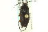  ( - CNC COLEO 00127259)  @11 [ ] CreativeCommons - Attribution (2011) CNC/CBG Photography Group Centre for Biodiversity Genomics