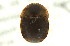  ( - CNC COLEO 00127917)  @13 [ ] CreativeCommons - Attribution (2011) CNC/CBG Photography Group Centre for Biodiversity Genomics