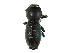  (Zopherus nodulosus - CNC COLEO 00127996)  @14 [ ] CreativeCommons - Attribution (2011) CNC/CBG Photography Group Centre for Biodiversity Genomics