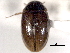  ( - CNC COLEO 00150571)  @11 [ ] CreativeCommons - Attribution (2012) CNC/CBG Photography Group Centre for Biodiversity Genomics