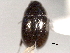  ( - CNC COLEO 00150614)  @11 [ ] CreativeCommons - Attribution (2012) CNC/CBG Photography Group Centre for Biodiversity Genomics