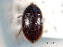  ( - CNC COLEO 00150674)  @11 [ ] CreativeCommons - Attribution (2012) CNC/CBG Photography Group Centre for Biodiversity Genomics