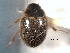  ( - CNC COLEO 00150791)  @11 [ ] CreativeCommons - Attribution (2012) CNC/CBG Photography Group Centre for Biodiversity Genomics