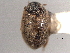  ( - CNC COLEO 00150794)  @11 [ ] CreativeCommons - Attribution (2012) CNC/CBG Photography Group Centre for Biodiversity Genomics