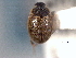  ( - CNC COLEO 00150796)  @11 [ ] CreativeCommons - Attribution (2012) CNC/CBG Photography Group Centre for Biodiversity Genomics