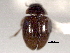  ( - CNC COLEO 00150816)  @11 [ ] CreativeCommons - Attribution (2012) CNC/CBG Photography Group Centre for Biodiversity Genomics