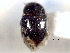  ( - CNC COLEO 00150831)  @11 [ ] CreativeCommons - Attribution (2012) CNC/CBG Photography Group Centre for Biodiversity Genomics