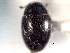  ( - CNC COLEO 00150845)  @11 [ ] CreativeCommons - Attribution (2012) CNC/CBG Photography Group Centre for Biodiversity Genomics