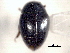  ( - CNC COLEO 00150846)  @11 [ ] CreativeCommons - Attribution (2012) CNC/CBG Photography Group Centre for Biodiversity Genomics