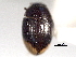  ( - CNC COLEO 00150871)  @11 [ ] CreativeCommons - Attribution (2012) CNC/CBG Photography Group Centre for Biodiversity Genomics