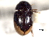  ( - CNC COLEO 00150879)  @11 [ ] CreativeCommons - Attribution (2012) CNC/CBG Photography Group Centre for Biodiversity Genomics