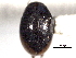  ( - CNC COLEO 00150881)  @11 [ ] CreativeCommons - Attribution (2012) CNC/CBG Photography Group Centre for Biodiversity Genomics