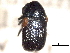  ( - CNC COLEO 00151130)  @11 [ ] CreativeCommons - Attribution (2012) CNC/CBG Photography Group Centre for Biodiversity Genomics