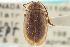  ( - CNC COLEO 00151535)  @11 [ ] CreativeCommons - Attribution (2012) CNC/CBG Photography Group Centre for Biodiversity Genomics