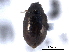  ( - CNC COLEO 00151629)  @11 [ ] CreativeCommons - Attribution (2012) CNC/CBG Photography Group Centre for Biodiversity Genomics