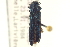 (Agrilus acutipennis - CNC COLEO 00156868)  @13 [ ] CreativeCommons - Attribution (2012) CNC/CBG Photography Group Centre for Biodiversity Genomics