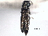  ( - CNC COLEO 00156892)  @11 [ ] CreativeCommons - Attribution (2012) CNC/CBG Photography Group Centre for Biodiversity Genomics