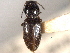  ( - CNC COLEO 00158413)  @11 [ ] CreativeCommons - Attribution (2012) CNC/CBG Photography Group Centre for Biodiversity Genomics