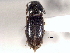  ( - CNC COLEO 00158414)  @13 [ ] CreativeCommons - Attribution (2012) CNC/CBG Photography Group Centre for Biodiversity Genomics