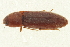  ( - CNC COLEO 00158569)  @12 [ ] CreativeCommons - Attribution (2012) CNC/CBG Photography Group Centre for Biodiversity Genomics