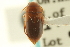  ( - CNC COLEO 00149544)  @11 [ ] CreativeCommons - Attribution (2012) CNC/CBG Photography Group Centre for Biodiversity Genomics