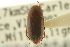  ( - CNC COLEO 00149545)  @11 [ ] CreativeCommons - Attribution (2012) CNC/CBG Photography Group Centre for Biodiversity Genomics
