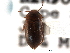  ( - CNC COLEO 00149567)  @11 [ ] CreativeCommons - Attribution (2012) CNC/CBG Photography Group Centre for Biodiversity Genomics