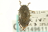  ( - CNC COLEO 00149611)  @11 [ ] CreativeCommons - Attribution (2012) CNC/CBG Photography Group Centre for Biodiversity Genomics