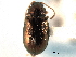  ( - CNC COLEO 00151762)  @11 [ ] CreativeCommons - Attribution (2012) CNC/CBG Photography Group Centre for Biodiversity Genomics