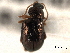  ( - CNC COLEO 00151769)  @11 [ ] CreativeCommons - Attribution (2012) CNC/CBG Photography Group Centre for Biodiversity Genomics