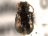  ( - CNC COLEO 00151780)  @14 [ ] CreativeCommons - Attribution (2012) CNC/CBG Photography Group Centre for Biodiversity Genomics
