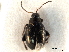  ( - CNC COLEO 00151823)  @11 [ ] CreativeCommons - Attribution (2012) CNC/CBG Photography Group Centre for Biodiversity Genomics